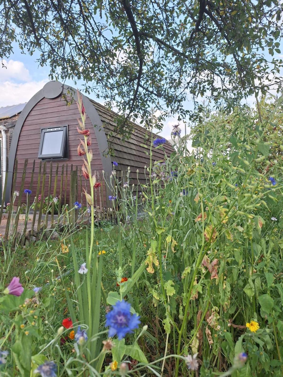 Kerkenveld Swifterlodge المظهر الخارجي الصورة
