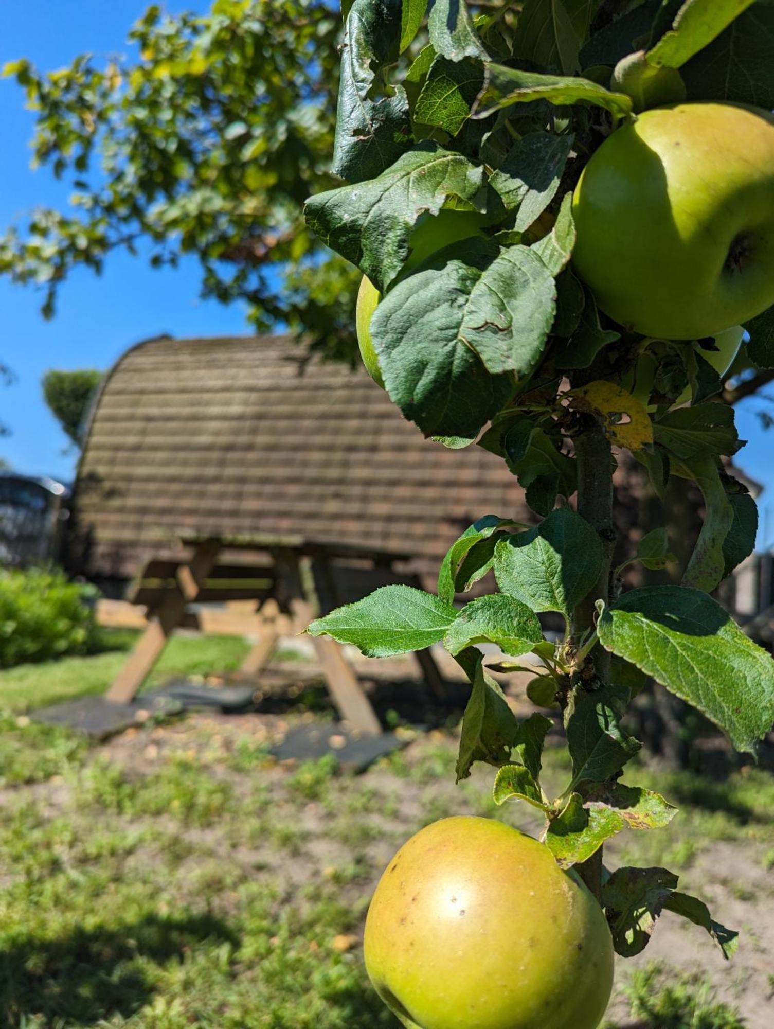 Kerkenveld Swifterlodge المظهر الخارجي الصورة